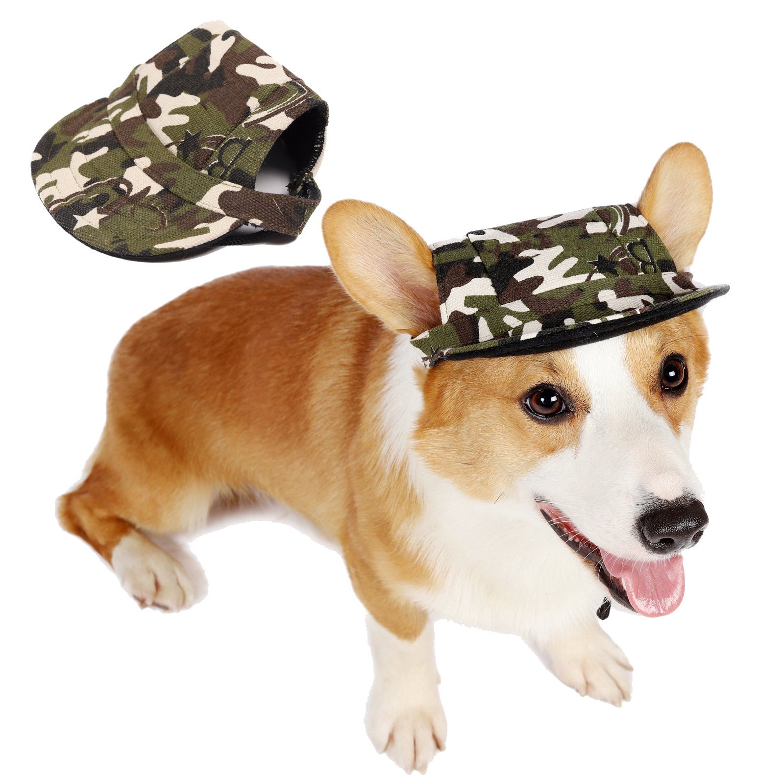 Gorra para perros y gatos