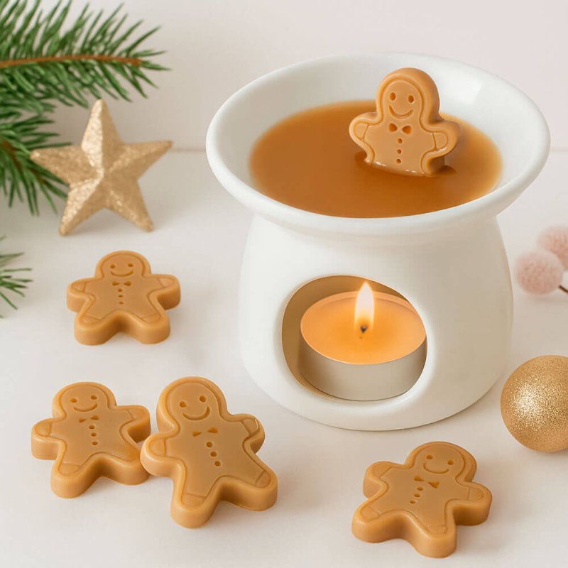 Como usar los Wax Melts y como limpiar el quemador!