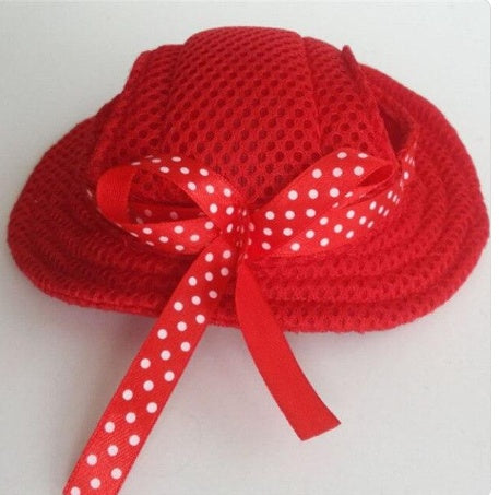 Gorra para perros y gatos